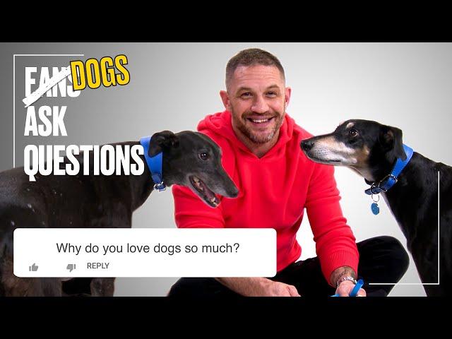 Tom Hardy Plays With Rescue Dogs | FAQs | @ladbiblestories