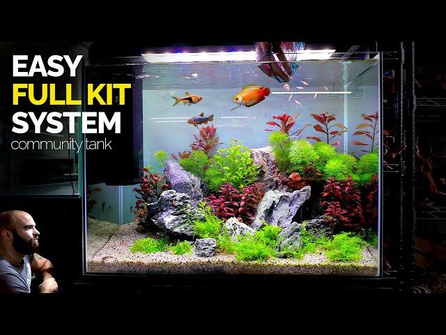 All In One Kit Aquarium: Community Fish Tank Setup (Aquascape Tutorial)