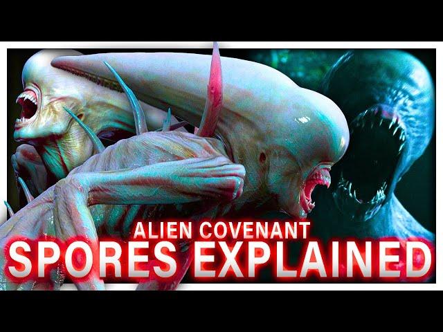 The CONTINUAL STUPIDITY Of Humanity In Alien Covenant Explained