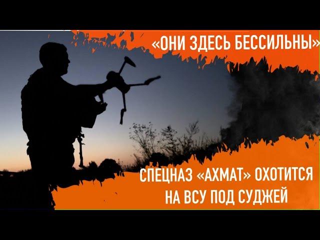 «Они здесь бессильны». Спецназ «Ахмат» охотится на ВСУ под Суджей