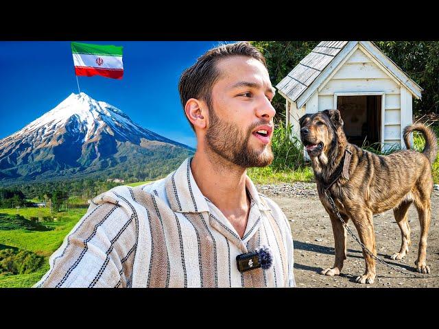 Deniz (24) ist im Iran & hat Angst vor diesem Hund..