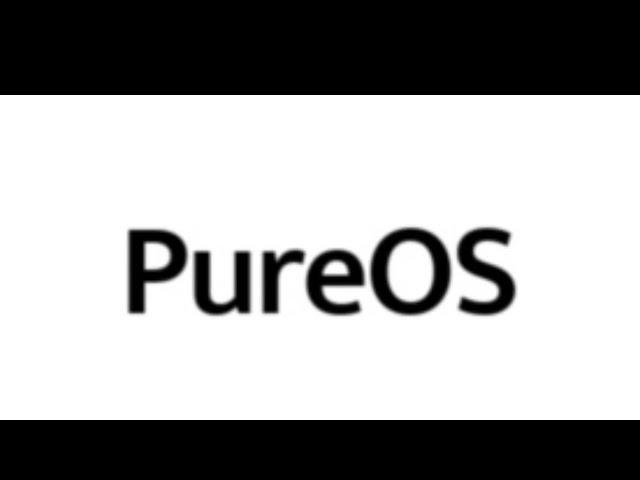 How To Permanently Install PURE OS 9 64BIT  To USB or PC & Review - OCTOBER 2019