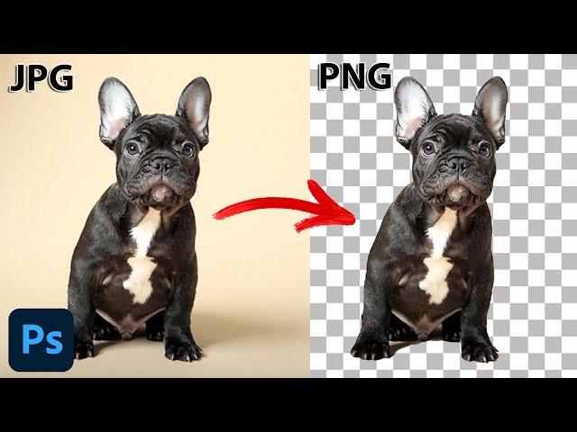 How to Remove Background or Make PNG Transparent in Photoshop From Jpeg in 2023