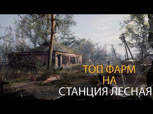 Фарм для Новичка (Станция Лесная) Stalker Online (Stay Out)