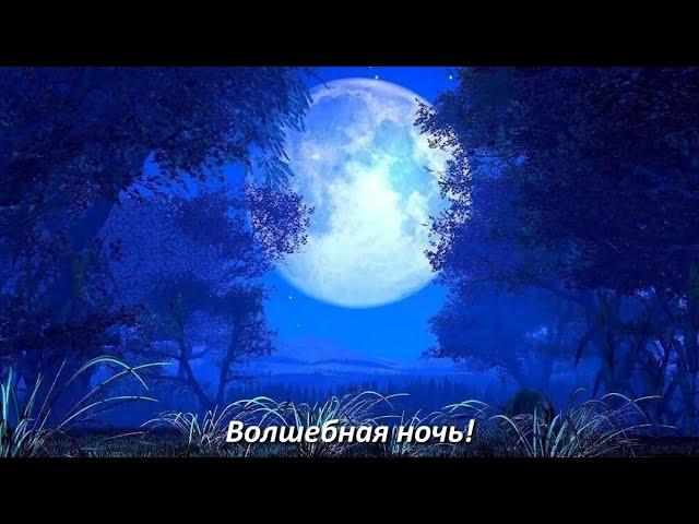 Алена Полынь: «Волшебная ночь!» (Демо-версия)