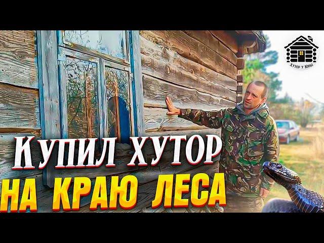 Купили хутор в лесу. В доме жила гадюка. Обзор хутора