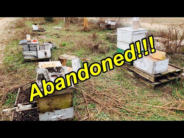 Going Through Some ABANDONED BEES | 1ST Hive INSPECTION in 6+ YEARS! WOW!!!