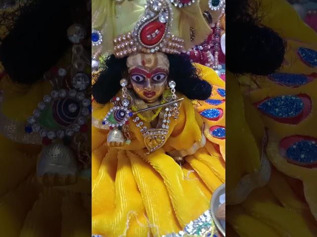 Radha Radha Radha Radha Radha  subha ratri Shayan darshan 