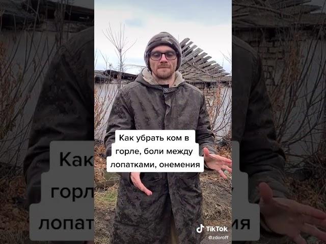 Здоровье ЗОЖ