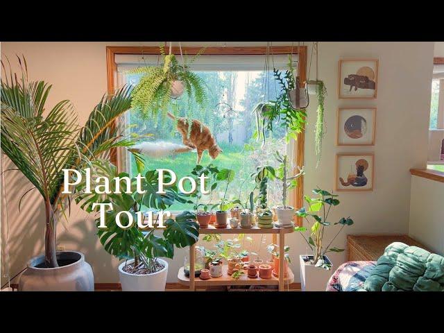 Plant Pot Tour | my collection of planters