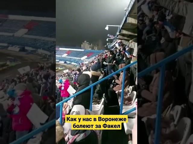 Как у нас в Воронеже болеют за Факел