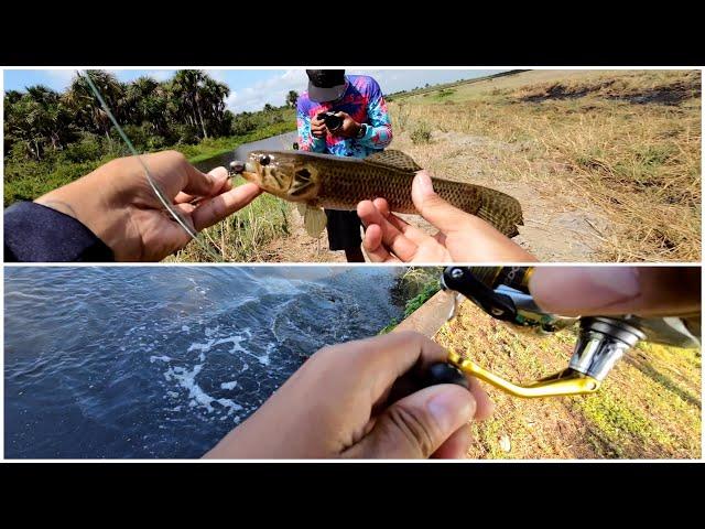 Fishing in Coronie | some extra footage