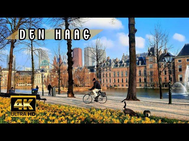 Den Haag Walking Tour | 4K HDR The Netherlands  Spring 2024 ️