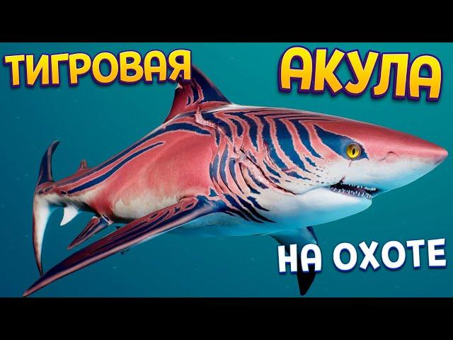 РЕАЛИСТИЧНАЯ ОХОТА АКУЛЫ ТИГРОВОЙ ( Maneater )