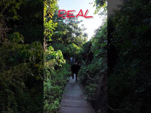 Reel vs Real