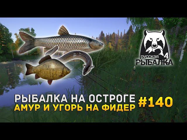 Рыбалка на Остроге. Амур и Угорь на фидер - Русская Рыбалка 4 #140