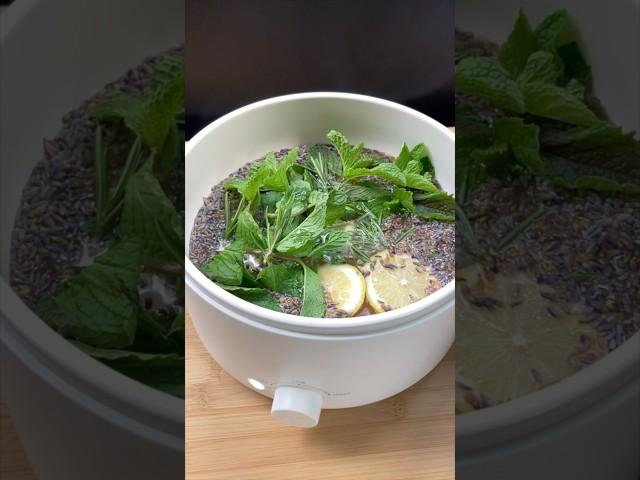 Lavender Citrus Mint Simmer Pot #asmr  #simmerpot  #suvcamping #vanlife #odoreliminator #scent