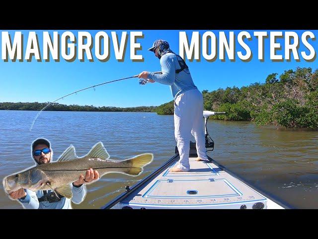 Big SNOOK in Tampa Bay After a Hurricane - INSHORE SLAM!