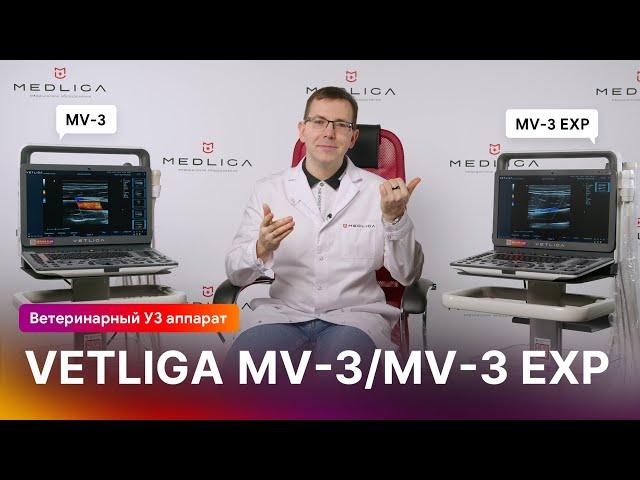 Обзор ветеринарного УЗИ аппарата VETLIGA MV-3 / MV-3 Exp