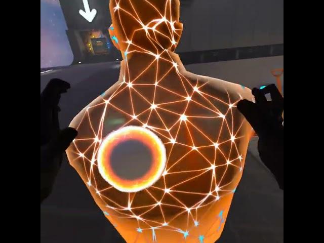 BONELAB the null body is very reflective