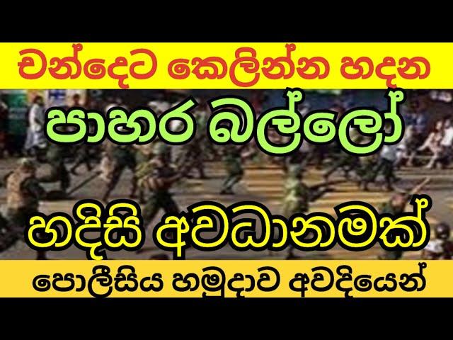 චන්දෙට කෙලින්න සූදානමක්