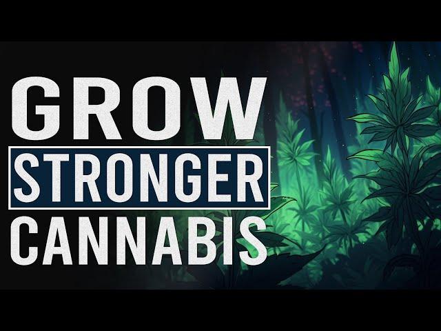 Make Your Cannabis WAY STRONGER!