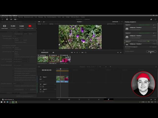 Как Экспортировать проект DaVinci Resolve в разные файлы