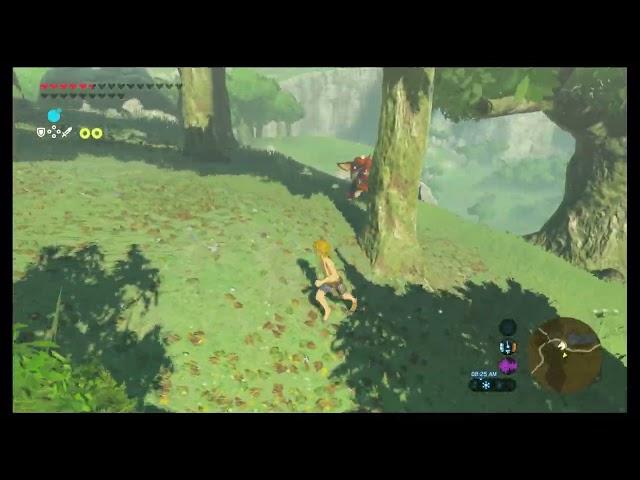 The Ultimate Boko Archer - IST Quickie - Breath of the Wild