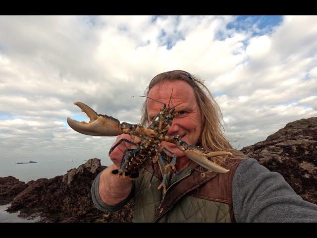 Pêche à pied : les homards de Saint-Malo