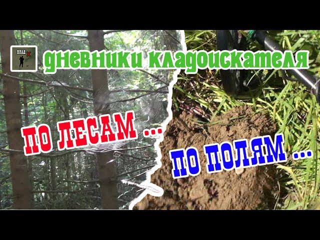 ПО ЛЕСАМ ... ПО ПОЛЯМ ... Дневники Кладоискателя: