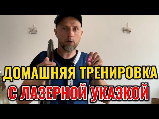 Тренировка стрельбы с лазерной указкой