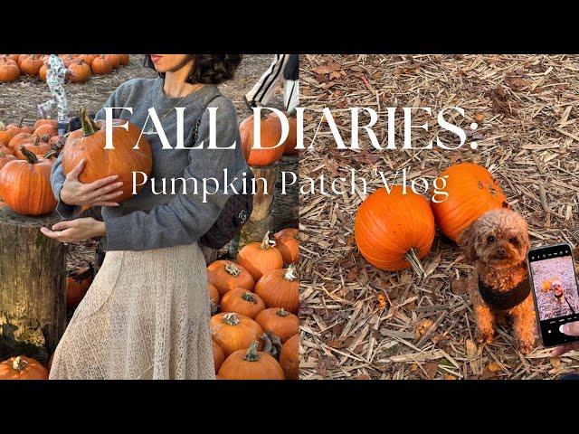 FALL DIARIES: Pumpkin Patch Vlog | Knitting for Autumn | Family Time | Halloween Vibes