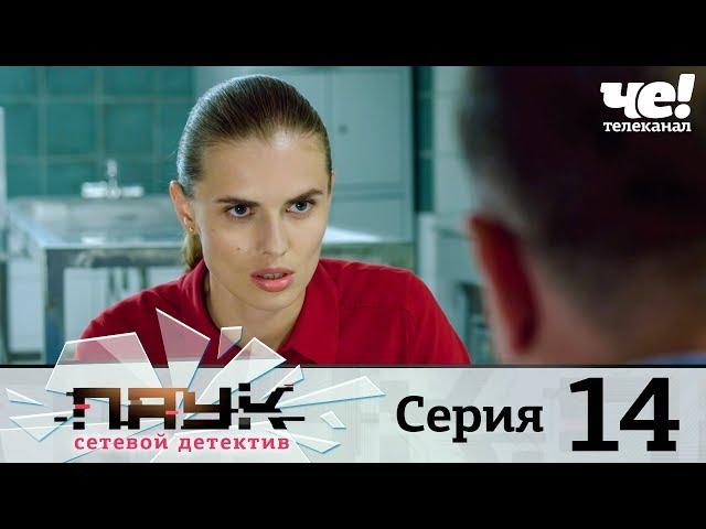 Паук | Сезон 1 | Серия 14