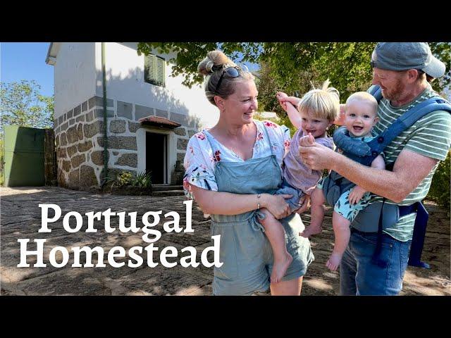 7 Good Reasons Why WE MOVED TO PORTUGAL | Homestead Life