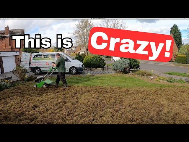 Scarifying A VERY THICK Thatchy Lawn