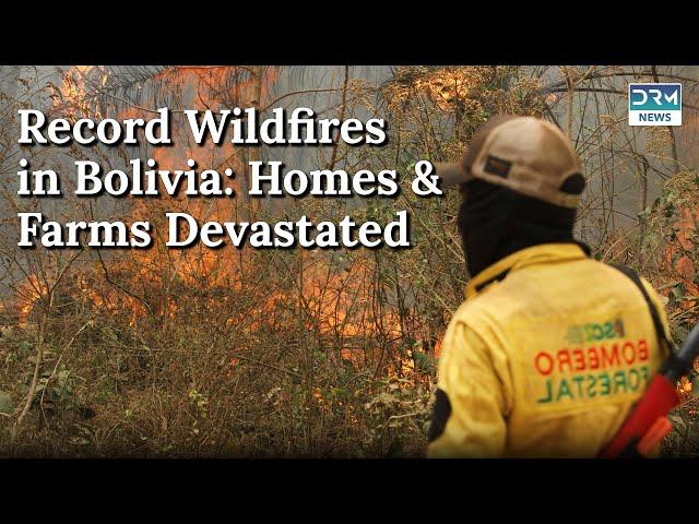 Bolivia: Wildfires Burn Record Area, Scorching Homes And Farms| DRM News | AL1B