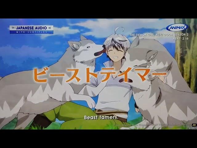 Channel Continuity (15/12/2022) - Animax Asia