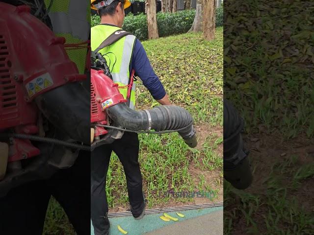 ‌Leaf blower operation #tools