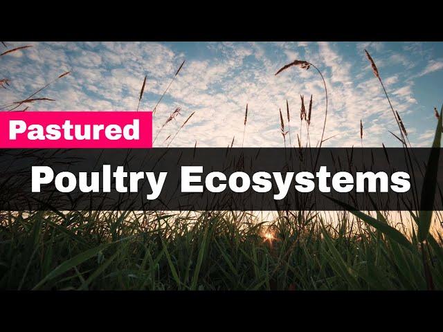 Pastured Poultry Ecosystems Coexist with Wildlife