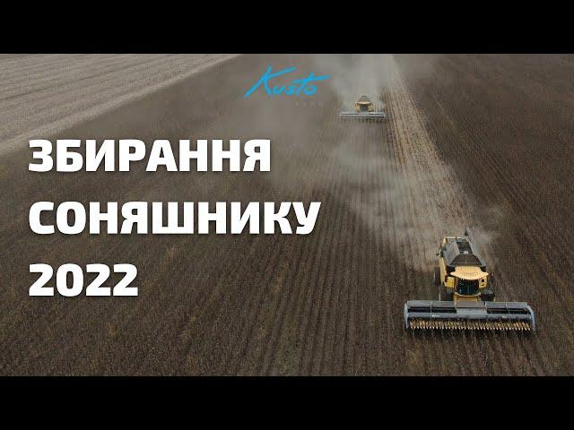 Збирання соняшнику 2022