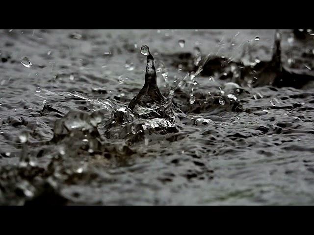 RAIN VIDEO FOOTAGE FREE - RAIN STOCK FOOTAGE | FREE HD VIDEO - NO COPYRIGHT 35