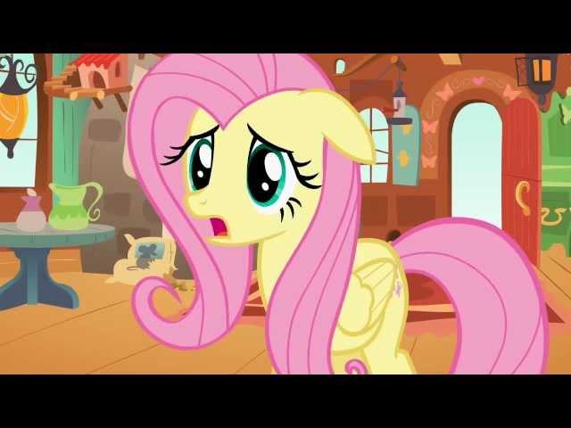 Fluttershy + Rainbow Dash