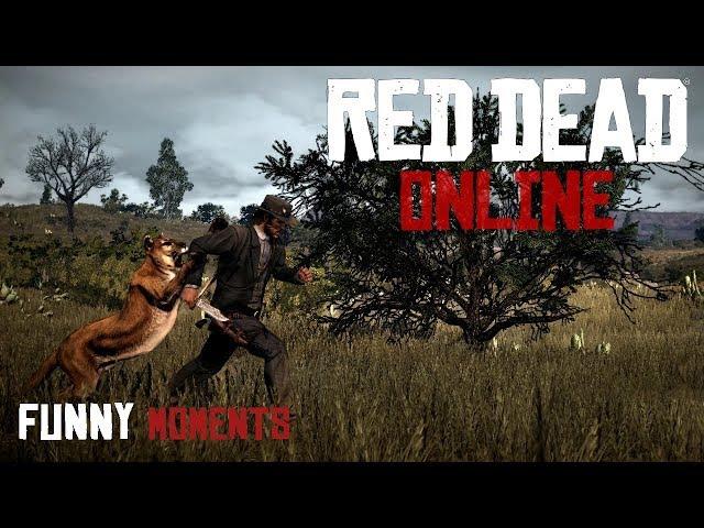 Red Dead Online - Приколы, Фейлы, Смешные моменты | Funny Moments Red Dead Redemption 2 на PC