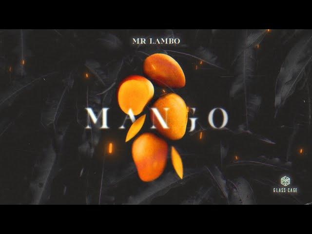 Mr Lambo - Mango (Official Video)