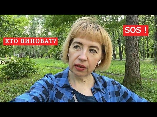 КТО ВИНОВАТ? SOS: У нас черви! Покупки из фикс прайс и не только. Сделала прическу.