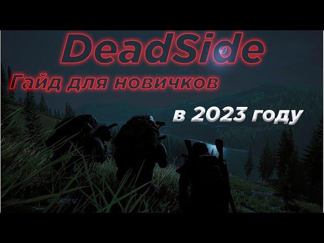 DeadSide 2023 ГАЙД БЕЗ ВОДЫ ! Уроки Дедсайда