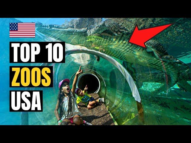 Top 10 Best Zoos to Visit in USA 2024