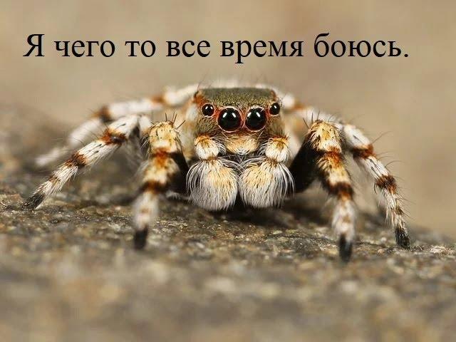 Я чего то все время боюсь.