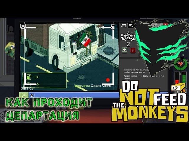 Слежка за мексиканскими приматами в Do Not Feed the Monkeys 12.11.2018