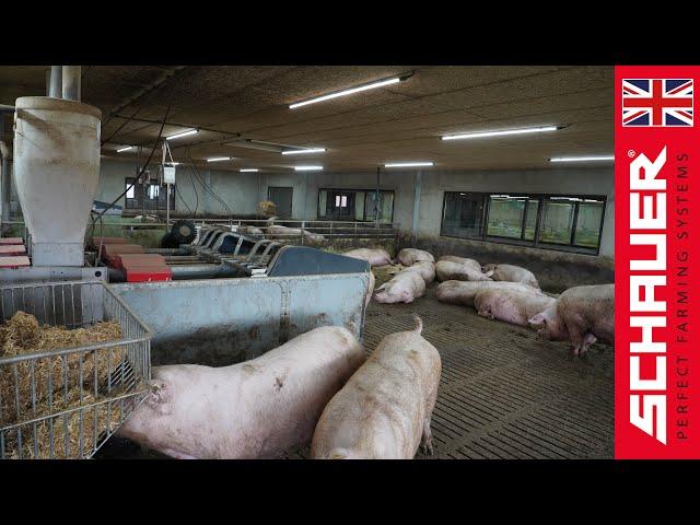 Kruisem farm in Flanders - A large and professional sow-farm!